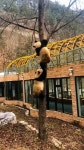 Pin by 창헌 이 on Panda bear [Video] | Animals beautiful, Panda bear, Pet birds