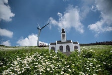 축제정보 | 여행정보 | 카페탐방 | 풀빌라펜션