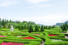 #가든 #자연 #풍경 #켄싱턴 #평창 #호텔 #오대산 #프렌치가든 | 호텔, 자연, 리조트