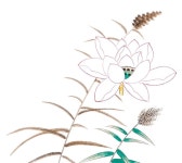 기초부터 차근차근⑧ 때 묻지 않은 청초한 그림 연화도 | 월간민화