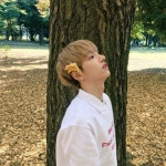 경태Gyeongtae | 14U