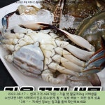 2022-09-17 - 49870원 - 가을 햇 활꽃게2kg 서해생물 수산대전 태안 서해에서 잡은 암수꽃게, 활꽃게 2kg (6-10미) 2022-09-17 - 49870원 - 가을... 