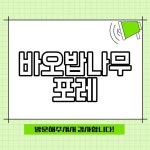 바오밥나무포레 소개
