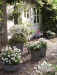 land scaping에 관한 81개의 최상의 Pinterest 이미지 | 채소 정원, 아름다운 정원 및 작은 정원 land scaping