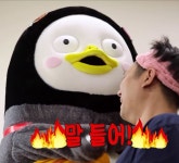 ปักพินโดย 지현 이 ใน 펭수