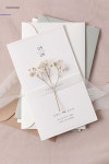 메이아이플라워 클래식 청첩장 Mayiflower Wedding Invitation (Classic) in 2020 | Classic wedding invitations