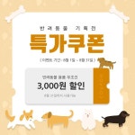 #반려견 #반려동물 #강아지 #이벤트 #템플릿 | 템플릿, 디자인, 배너