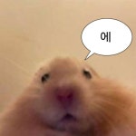 에 ㅋ에 있는 Orange님의 핀 | 귀여운 사랑 밈, 동물 밈, 웃긴 동물 사진