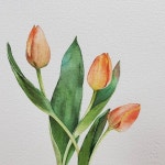 Watercolor tulips by Art studio vase on Instagram: “#튤립 #수채화 #꽃그림 #식물그림 #미젤로 #노랑 #성인미술 #취미미술... 