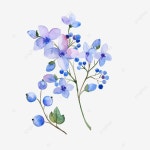 수채화 바람 라일락 꽃 과일 벡터, 벡터, 손으로 그린 꽃, 작은 신선한 PNG, 일러스트 및 벡터 에 대한 무료 다운로드 - Pngtree