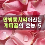 <만병통치약이라는 계피꿀의 효능 5> | Blog posts, Blog, Post ﻿<만병통치약이라는 계피꿀의 효능 5> | Blog posts, Blog, Post