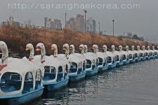 Chilling At Arirang House (아리랑하우스) at Ttukseom Resort (뚝섬유원지)