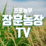 농사에 있는 Mnb님의 핀 - 2021 | 시골