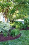1069 best Gardens images on Pinterest | 정원 가꾸기, 과일 농장 및 꽃 정원 Gardens