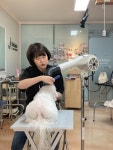 Pet cafe에 있는 JJangga님의 핀 - 2022