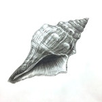 익산 창조의아침 on Instagram: “소라 소묘”