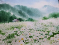 수채화 영감: 풍경화 그림 | 꽃밭 수채화, 시골 사진, 흰 꽃