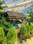 #seoul botanic park #green #greenhouse #서울특별시 #botanic #botanic garden #garden #plants #flowers #art #beauty #botanic park... 