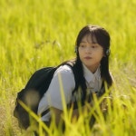 곽태풍 [Gwak Tae Poong]- Sunflower! (remastered)