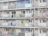 out에 관한 43개의 최상의 Pinterest 이미지 | Arquitetura, 미학 및 파스텔 out