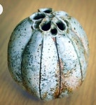 Pin page ceramica에 있는 Diana de Anda님의 핀 - 2025 | 공예