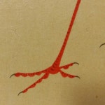 석채로 그린 봉황도