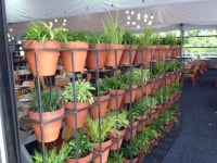 - Event Plants | 건축물