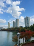 Pin by люля | 율리아 on 서울 | Seoul