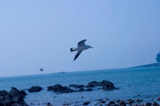 CRW_1469 | 출처: hwarangp(이미지 포함)