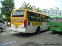 버스에 있는 무진 정님의 핀 | 버스