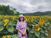 마나님에 있는 농장님의 핀