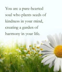 Me Like에 관한 143개의 최상의 Pinterest 이미지 | 아름다운 꽃, 자연 및 작약 Me Like
