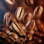 카페빈센트(Cafe Bean Scent) | Coffee Beans Fragrance Oil #coffeelove - 2020 | 커피