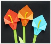 Pin de Kelly Nang em 수업 | Origami, Festa da primavera, Dia das mães