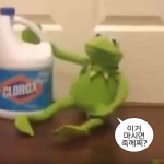 Pin page Pin on 기여엉 | Kermit, Kermit the frog, Kermit funny