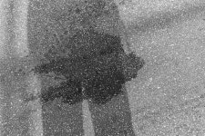 삼락동에서 구포로 가는 길목에 축산시장이 있다. 미취학 아동이던 시절에 엄마를 따라 가끔 갔었는데 풍경이 썩 유쾌하지 않았던 기억이 난다.... 