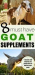 Goats에 관한 41개의 최상의 Pinterest 이미지 | 염소, 아기 염소 및 농장 동물 Goats