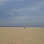 @ venice beach | 파도
