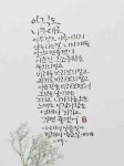 Pin on 세실 캘리그라피