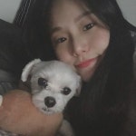 #멍스타그램 #댕스타그램 #말티즈그램 #말티즈스타그램 #반려견 #인스타독 #인스타펫 #dogsofinstagram #dogsofinstaworld... 