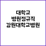 강원대학교병원 정규직비정규직 의사직 수시 채용! 당신의 꿈이 현실로! | 강원진