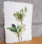 원데이만 하던 목요일도 정규수업 받습니다 🌿시간: (목요일/오전10시30분~오후1시) 🌿장소:@cafe.miu (남양주시 가운동) 🌿수강인원... 