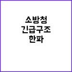 진구조컨설턴트 | 대설·한파 소방청의 긴급구조 대응 전략 공개! | 대구진 대설·한파 소방청의 긴급구조 대응 전략 공개! | 대구진 | 소방본부, 환경, 과학 교실