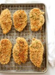 Baked Panko Chicken | Dash of Savory | Cook with Passion | Recipe | Baked panko chicken, Baked breaded chicken, Panko chicken