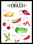 Pin by 화 이 on Kitchen Art and Books | Mexican food recipes, Food illustration art, Food drawing