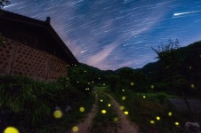 별이 빛나는 밤에... - 팝코넷 | 걸작 갤러리 | 사진, 갤러리