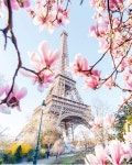 Eiffel에 관한 261개의 최상의 Pinterest 이미지 | 에펠탑, 도시 및 여행 Eiffel