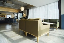 designby83/디자인바이팔삼/botanico 보타니코/interior/interior deco/interior design/branding/design/deco /furniture/cafe... 