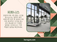휘트니스 서울 | 피트니스