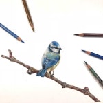 색연필 1 (colored pencil)에 있는 핀